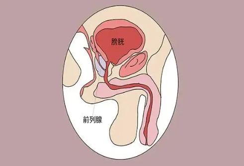 注意！縱欲和禁欲，最受傷的還是男人的這個(gè)器官！(圖1)